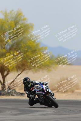 media/Apr-12-2025-Race Pace (Sat) [[9230add55f]]/Vested/6-Turn 4 Tree of Life (115pm)/